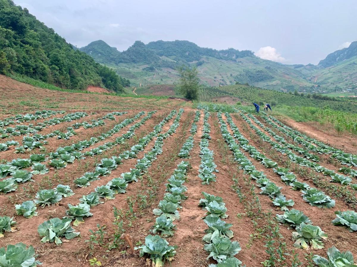 Mường sang farmstay Moc Chau Ngoại thất bức ảnh