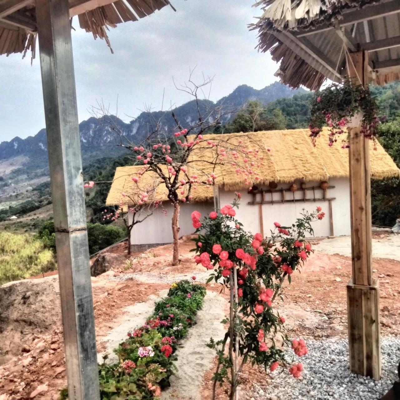 Mường sang farmstay Moc Chau Ngoại thất bức ảnh